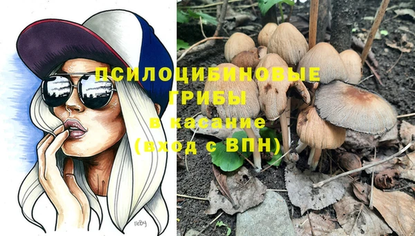 ГАЛЛЮЦИНОГЕННЫЕ ГРИБЫ Белокуриха