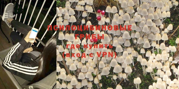 ГАЛЛЮЦИНОГЕННЫЕ ГРИБЫ Белокуриха
