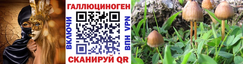 Галлюциногенные грибы мухоморы Тогучин